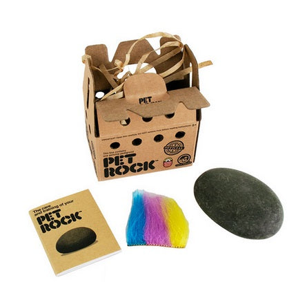 World's Smallest Pet Rock — Busy Bee Toys